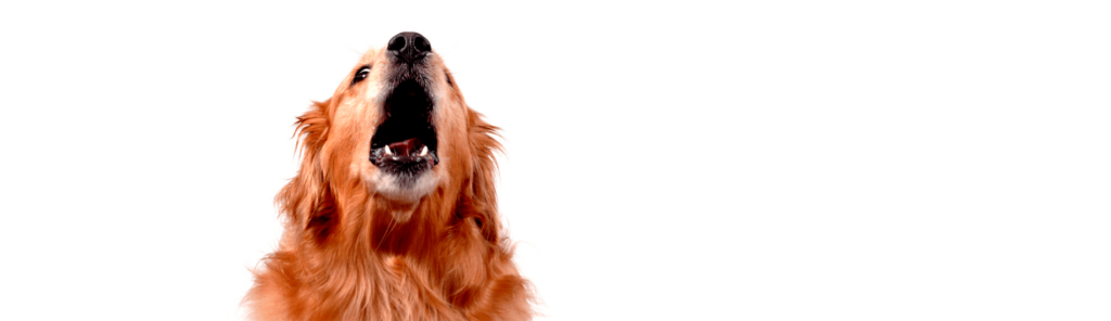 Respostas a dez perguntas sobre o isolamento acústico com vidros